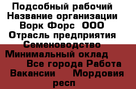 Подсобный рабочий › Название организации ­ Ворк Форс, ООО › Отрасль предприятия ­ Семеноводство › Минимальный оклад ­ 30 000 - Все города Работа » Вакансии   . Мордовия респ.